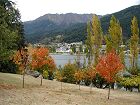  Queenstown Gardens, autumn colours 