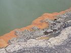  Champagne Pool, Wai-o-Tapu 