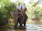  Elephant-trekking in Thailand 